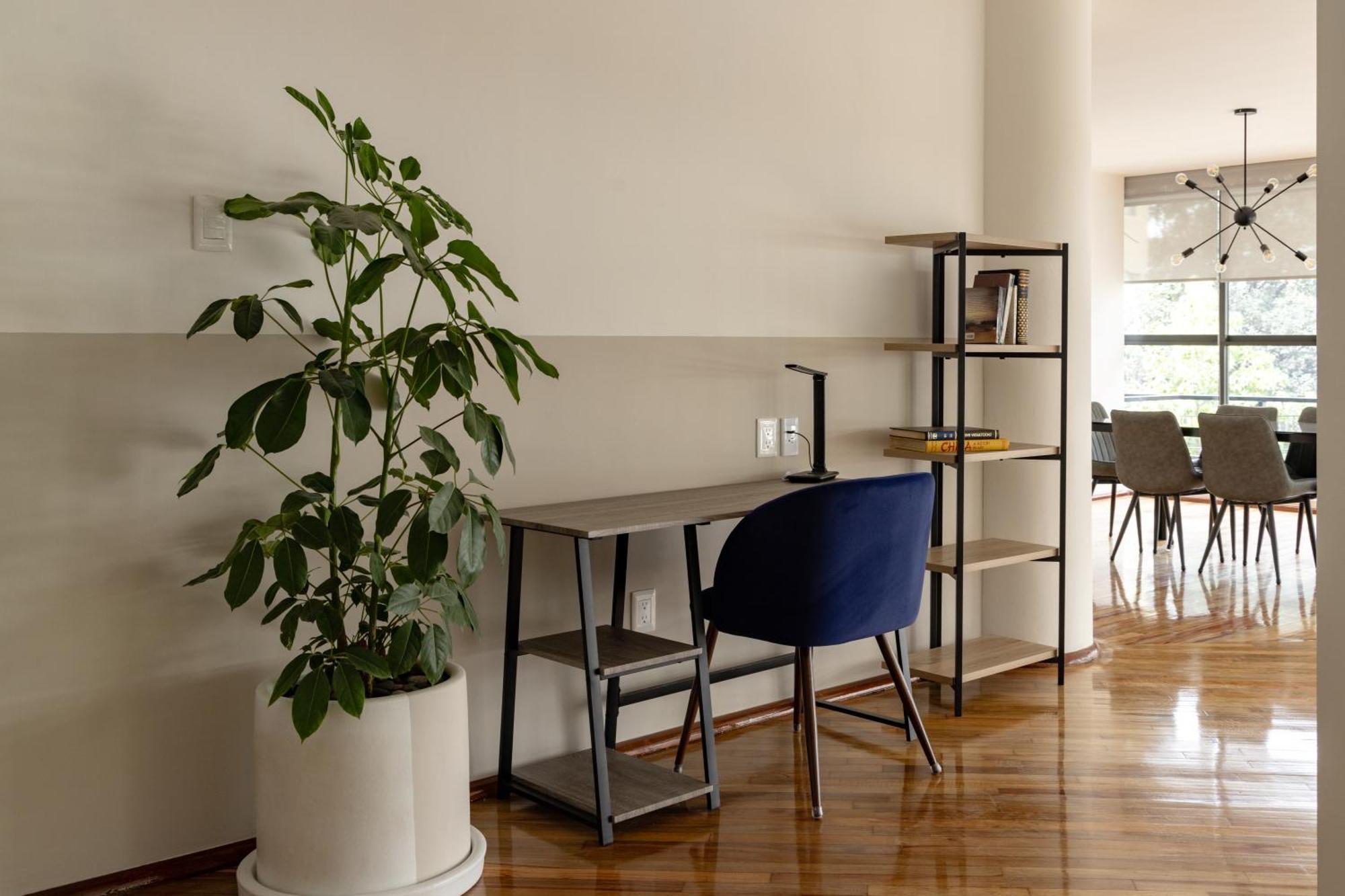 Lope 226, Polanco Leilighet Mexico by Eksteriør bilde